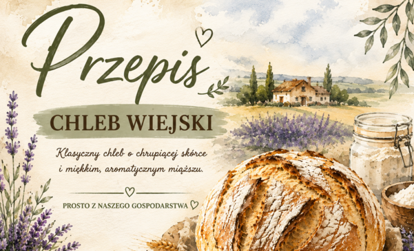 WIEJSKI CHLEB - PRZEPIS